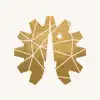 TOKYO DIAMOND TOUR logo icon