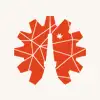 TOP DECK TOUR logo icon