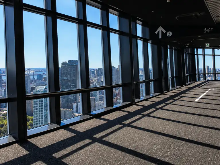 View of Tokyo from Tokyo Tower's MAIN DECK (150m high)